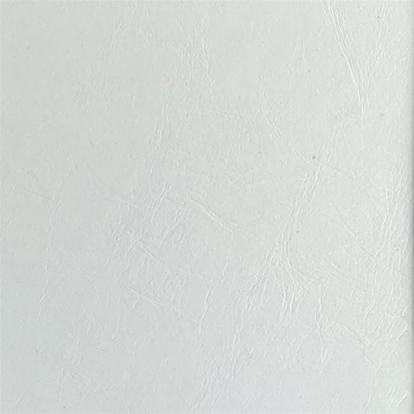 油脂2004